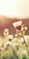 Spring Is...