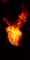 The Sevenfold Spirit